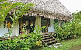 Island Home